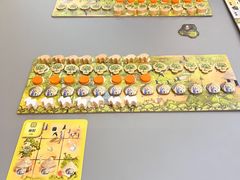 -金鹰购物中心(高新店)