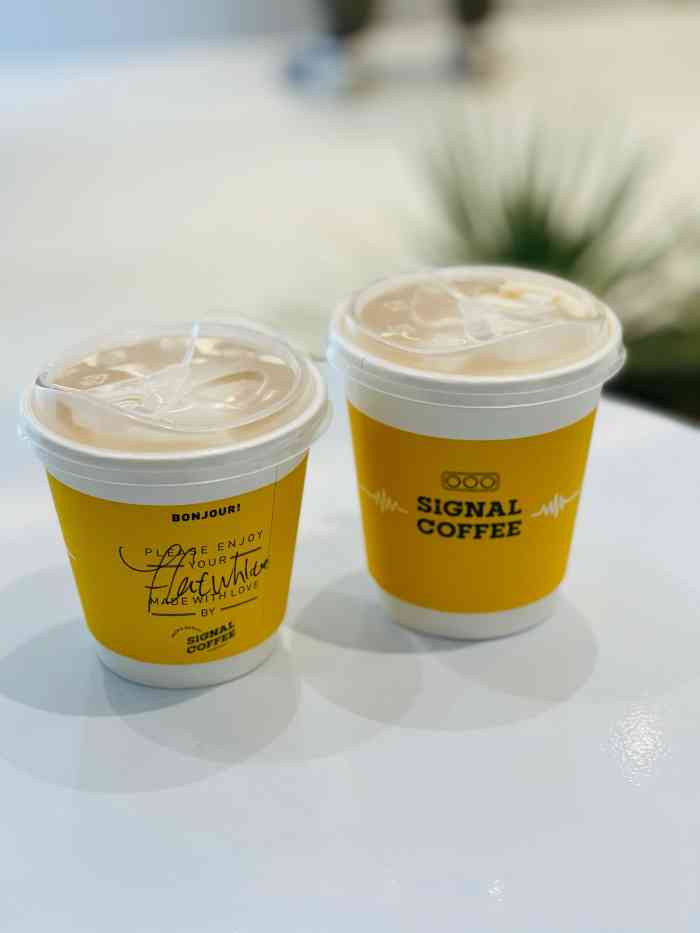 signal coffee信号咖啡(金湖店)-"总之岁月漫长,然而值得等待回南天的