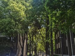 -苏州大学(天赐庄校区)