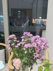 点击看大图 -玛尼瑜伽·普拉提