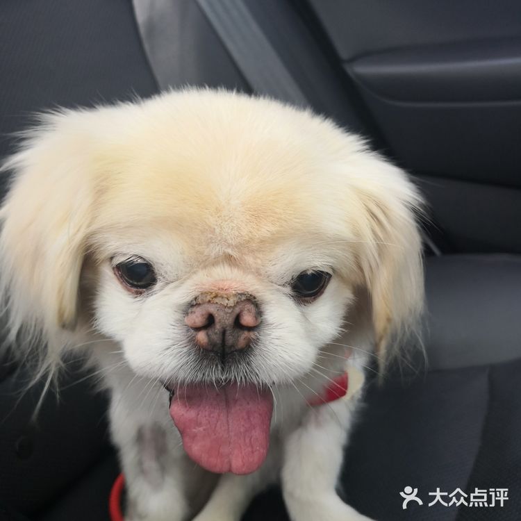 乒小乓，你想姐姐了吗？