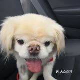 乒小乓,你想姐姐了吗?