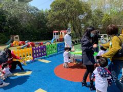 -胡姬港湾幼儿园(张江春晓校区)