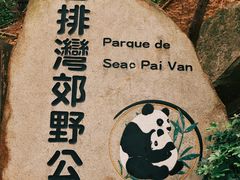 -石排湾郊野公园