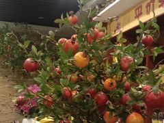 -尚帝·洛阳菜(八號院店)