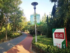 -大兴滨河森林公园