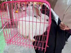 -茯茶镇