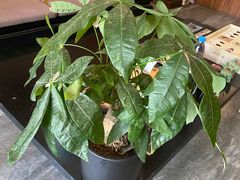 -北纬37°SPA养身会馆(湖西店)