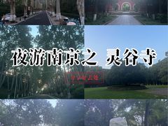 -灵谷景区