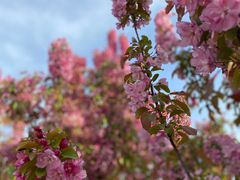 -永定河休闲森林公园