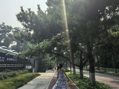-四海蒸鲜蒸汽海鲜自助(北戴河店)