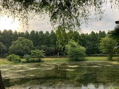 -东方绿舟景区