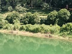 -九龙潭景区