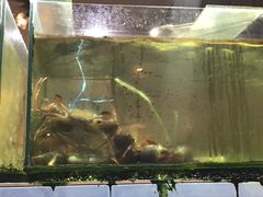 -真浪大家乐海鲜餐馆