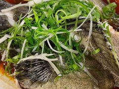 清蒸鱼-宜宾海鲜酒家·三十年老字号