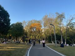 -洋湖国家湿地公园