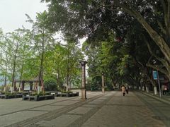 -张坝桂圆林公园