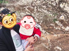-广州市流溪河国家森林公园