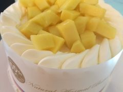 -维尔纳斯·生日蛋糕·动物奶油冰淇淋蛋糕(六里桥店)