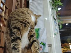 -九寨沟石锅鱼(沣峪口二十年店)