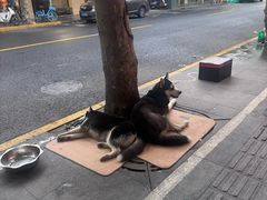 -小实惠嘉(威海路店)