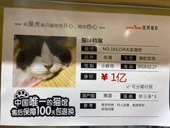 -屋虎猫馆(宝安大仟里店)