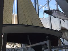 -墨尔本博物馆(Melbourne Museum)
