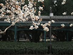-北京市劳动人民文化宫