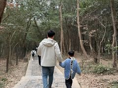 -紫金山山顶公园