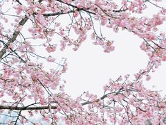 -杭州植物园
