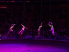 -俄罗斯国家大马戏团