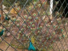 android_upload_pic-月亮河温泉度假酒店