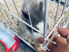 -小意思咖啡店(草桥店)