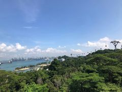 -圣淘沙天际线斜坡滑车