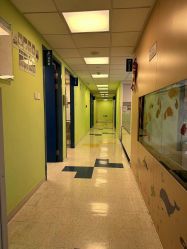 -杭州贝瑞斯美华妇儿医院·早孕·产检·儿科