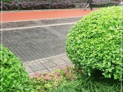 -龙头寺公园