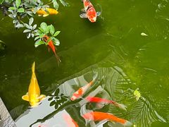 -漫笙舍Manse·咖啡·民宿