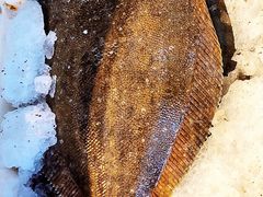 -东方国际水产中心