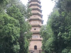 -灵谷景区