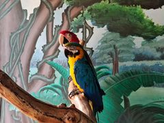 -石家庄市动物园