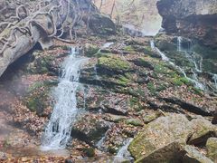 -五女峰国家森林公园