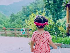 -欢乐松鼠谷