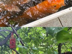 -开元溶洞