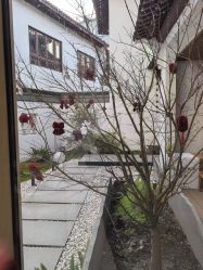 -AGE LOCK 锁龄美肌