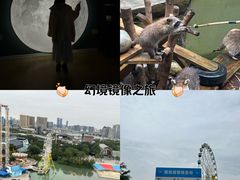 -成都欢乐谷