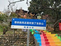 -桃源山庄·水蜜桃采摘·柴火鸡·烧烤团建(龙泉山店)