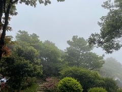 -梧桐山风景名胜区