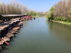 -溱湖国家湿地公园