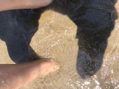 -枸杞岛