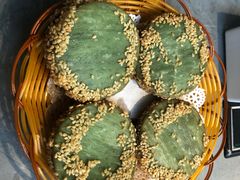 -原味四季椰子鸡(平湖天虹店)